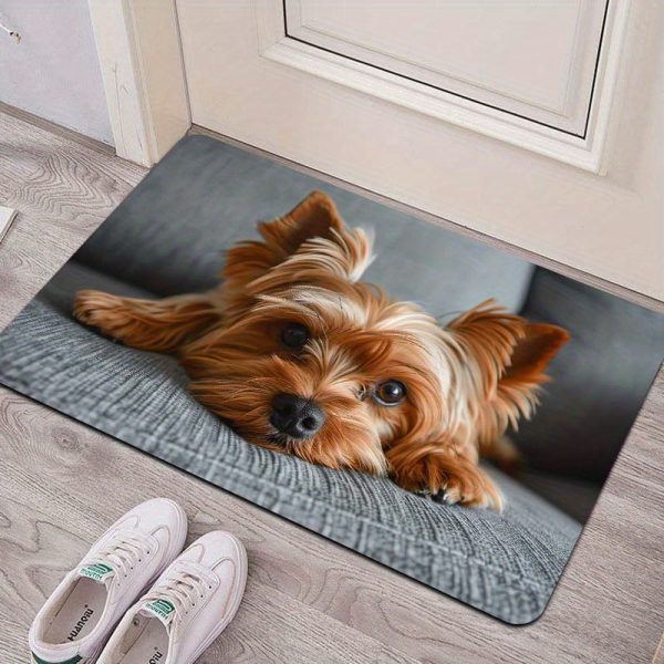 🐶 دعاسة بوليستر قابلة للغسيل – بتصميم كلب لطيف 🐶 أضف لمسة دفء ومرح لبيتك مع دعاسة فاخرة من البوليستر، بتصميم كلب جميل وقاعدة PVC مانعة للانزلاق. ✅ تصميم كيوت لمحبي الكلاب يزين مدخل بيتك أو أي مساحة داخلية. ✅ قابلة للغسيل في الغسالة لسهولة التنظيف. ✅ قاعدة مانعة للانزلاق لثبات وأمان أكبر. ✅ مثالية للمدخل، المطبخ، غرفة المعيشة، غرفة النوم أو الحمام. الجمال والعملية لمحبي الحيوانات الأليفة في دعاسة واحدة. 🏡✨ - Image 5